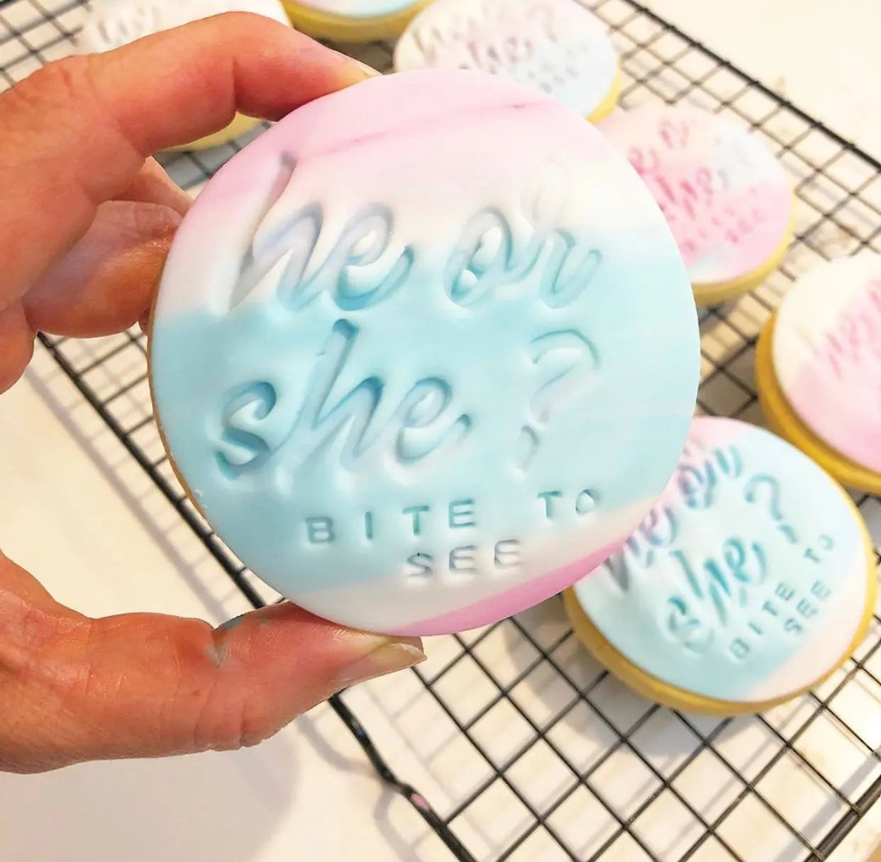 He or She? Gender Reveal Cookies - Cupcake Occasion