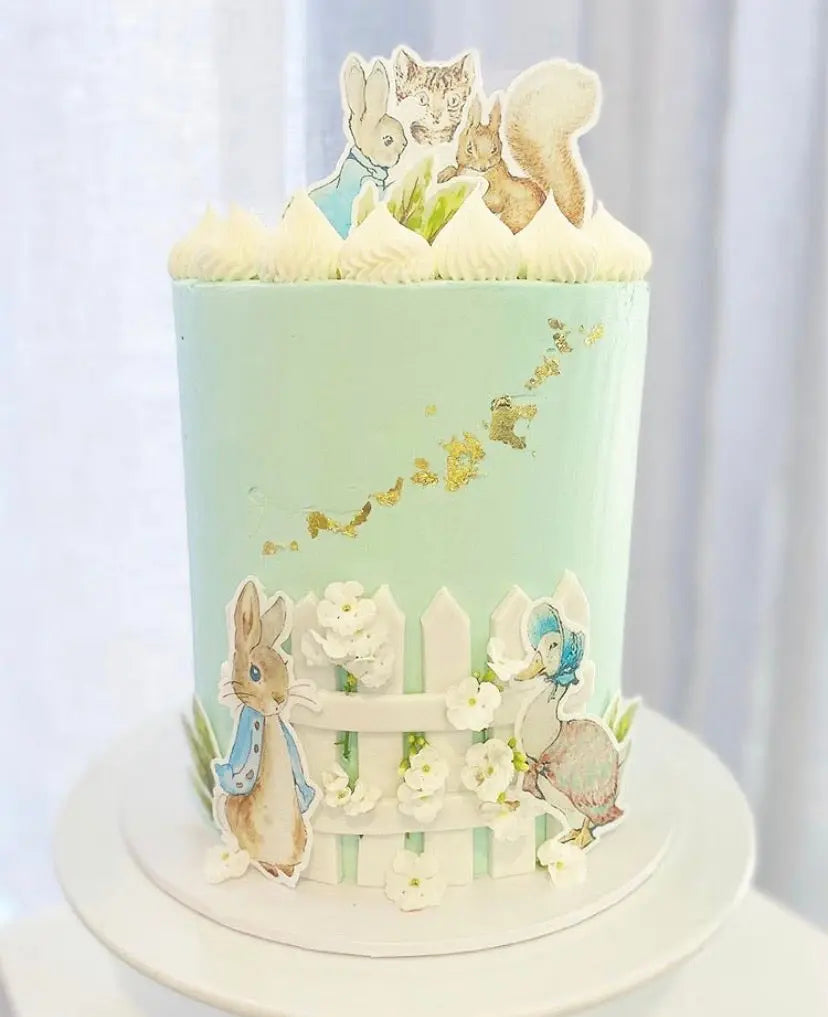 Peter Rabbit Cake - Cupcake Occasion